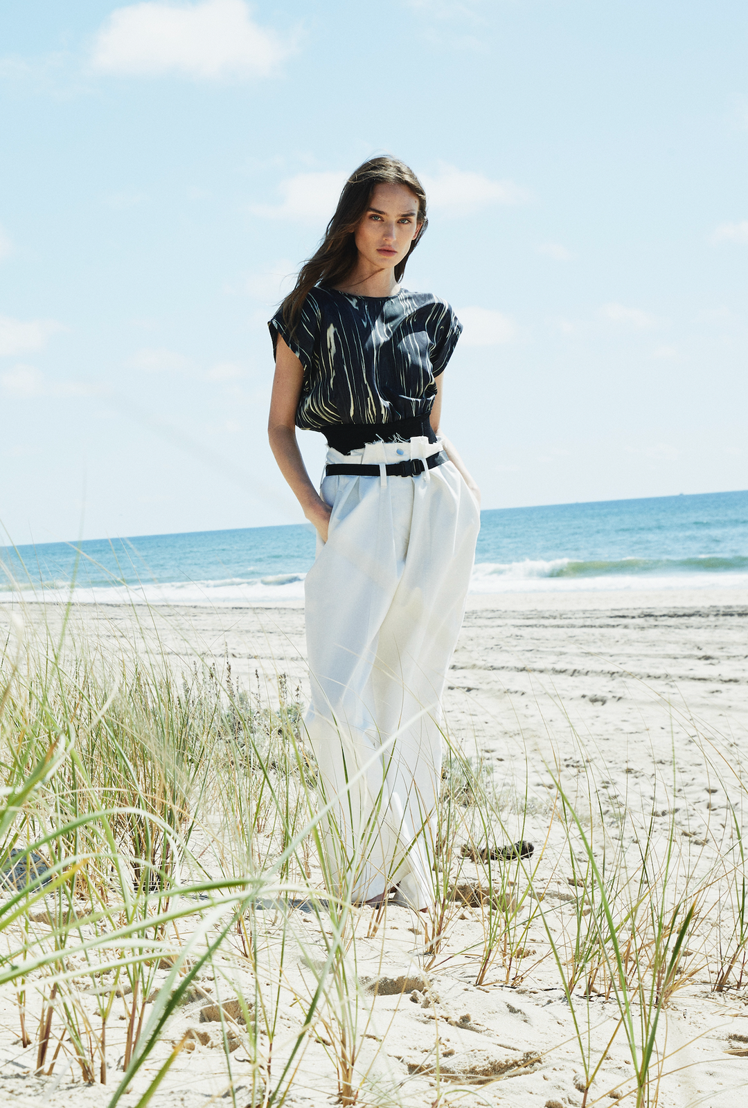 CLEO TOP