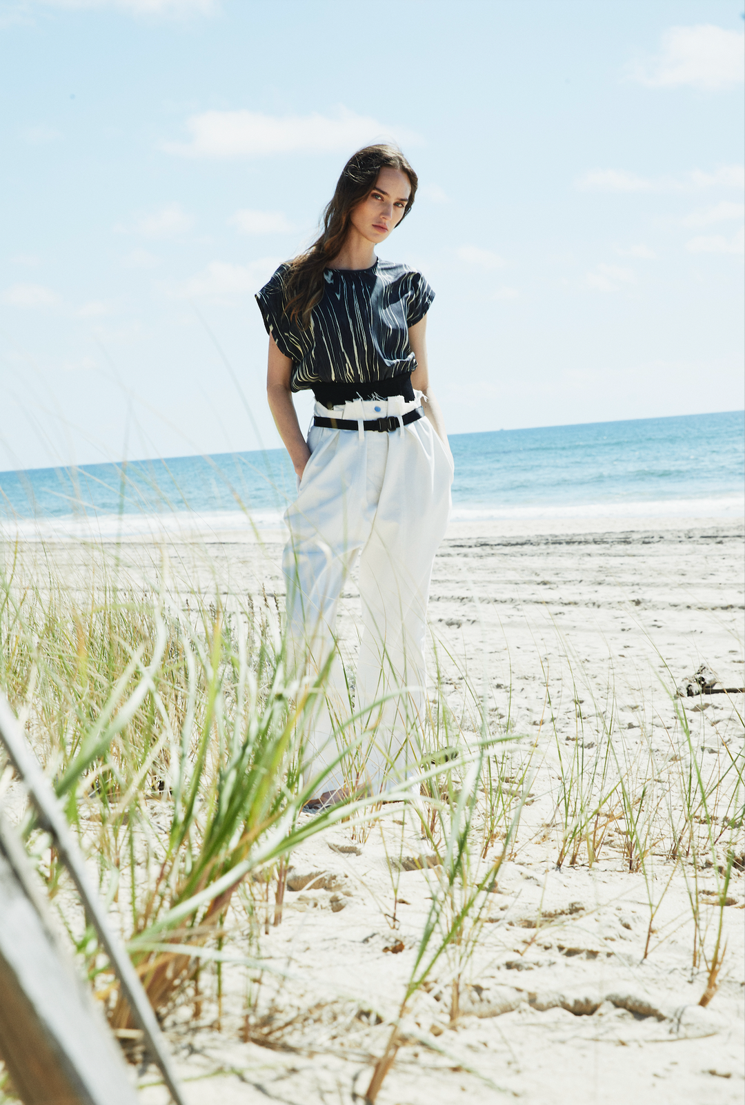 CLEO TOP