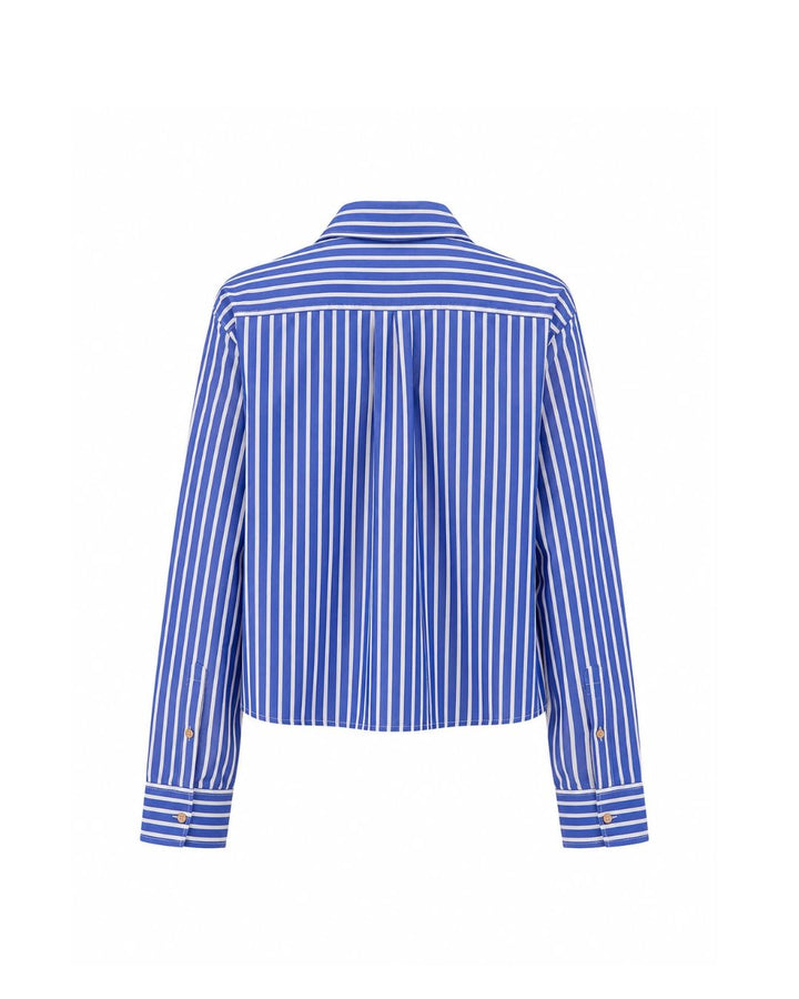 Rose Stripe Top